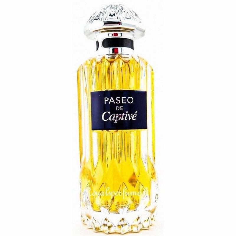 PENDORA SCENTS Paseo De Captive parfumuotas vanduo vyrams 100ml