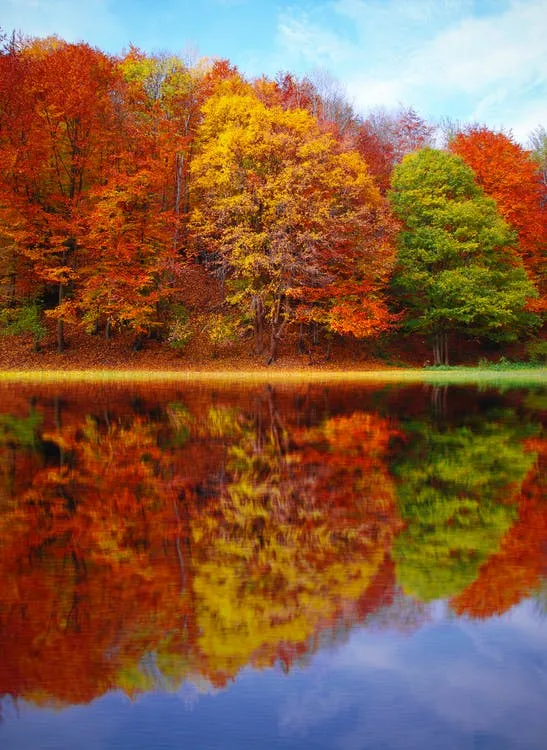 Perfect Autumn (BBW type) - Premium Fragrance Oil