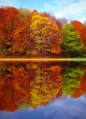 Perfect Autumn (BBW type) - Premium Fragrance Oil