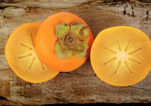 Persimmon & Beachwood - Premium Fragrance Oil