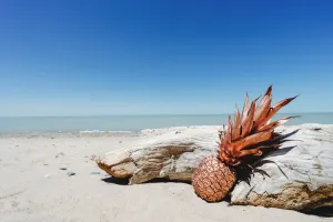Pineapple Driftwood - Premium Fragrance Oil