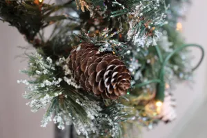 Pinecones  *Discontinued* - Premium Fragrance Oil