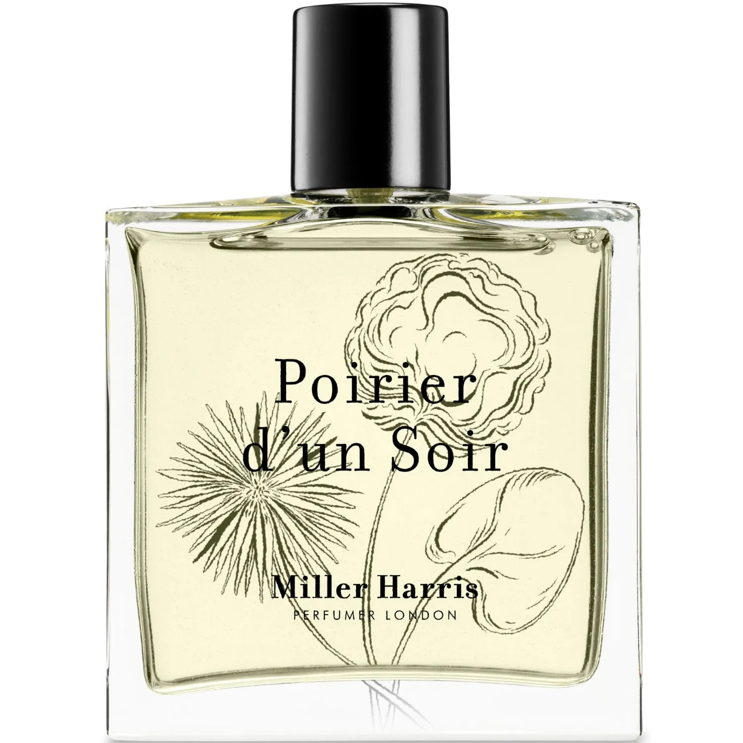Poirier d'un Soir