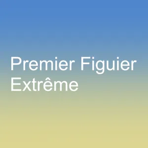 Premier Figuier Extrme