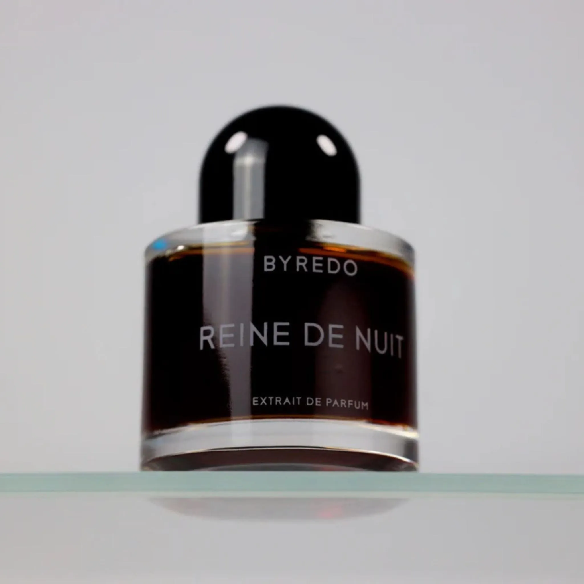 Reine de Nuit Night Veils