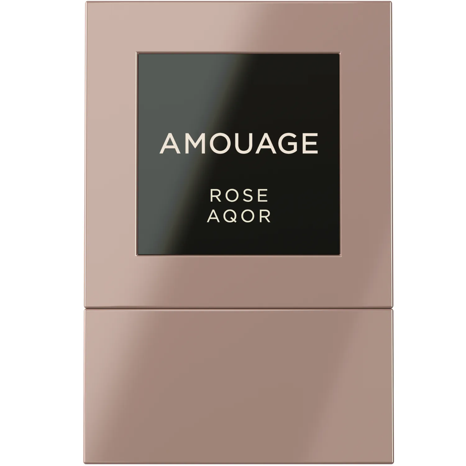 Rose Aqor