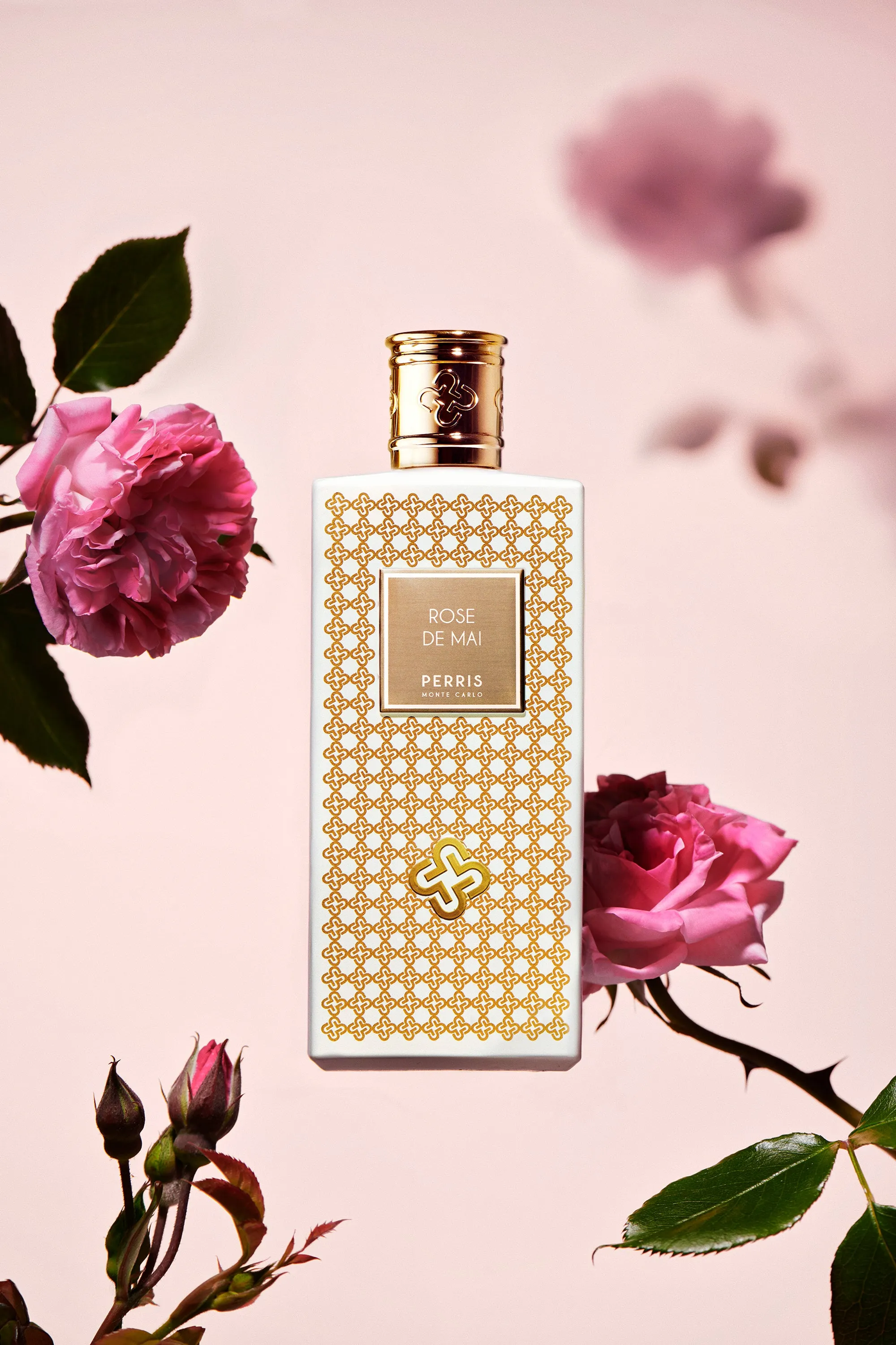 Rose de Mai