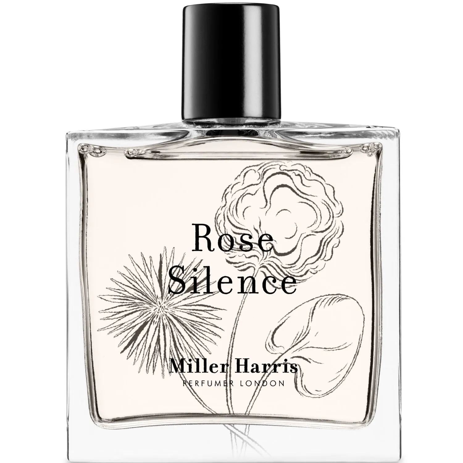 Rose Silence