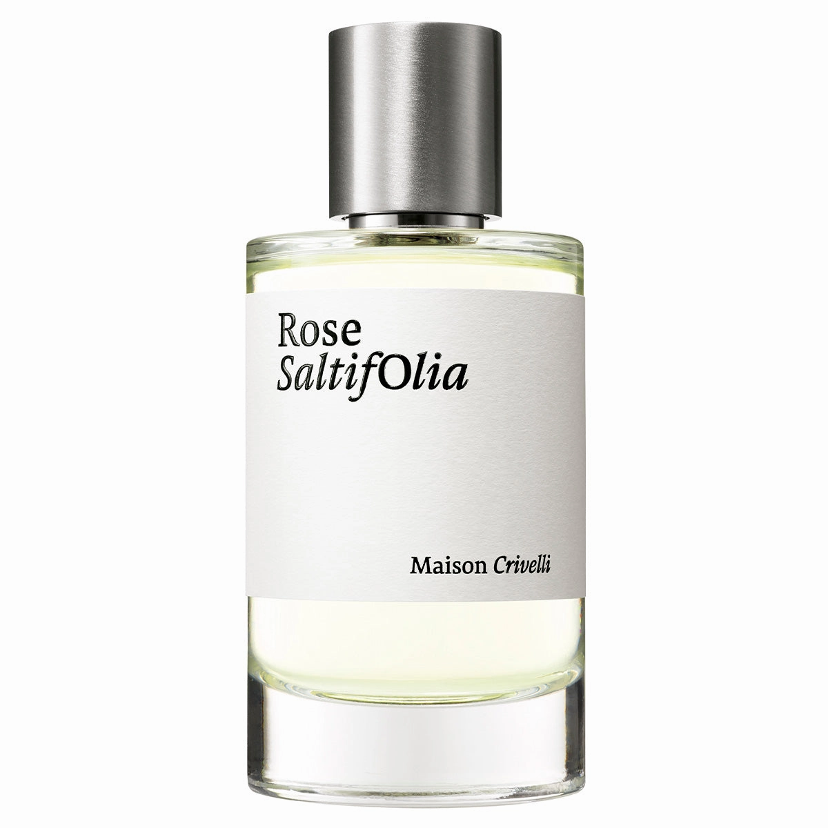 Rose SaltifOlia