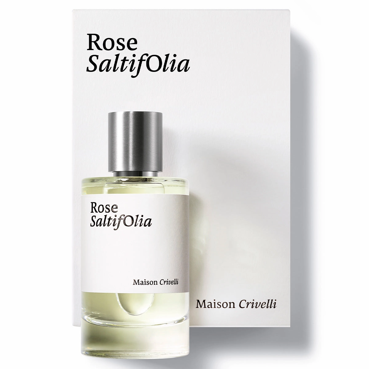 Rose SaltifOlia