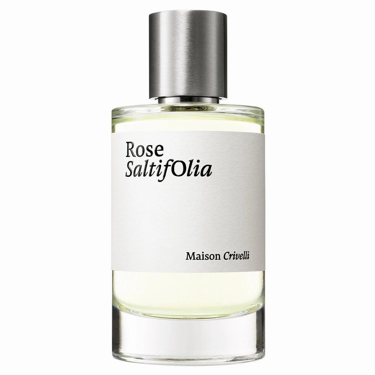 Rose SaltifOlia
