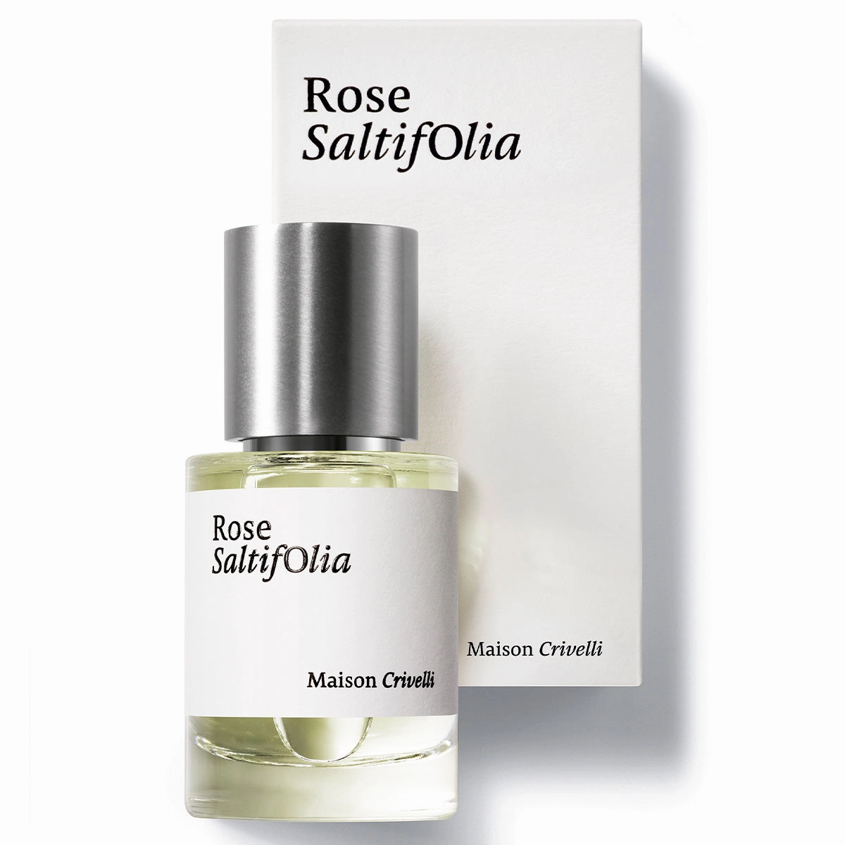 Rose SaltifOlia