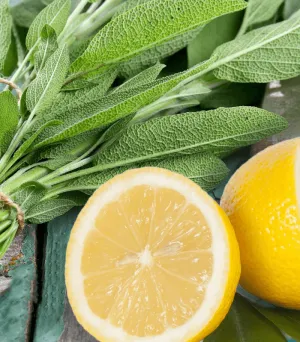 Sage & Citrus - Premium Fragrance Oil