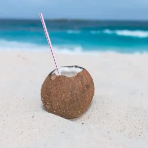 Sea Salt & Coconut - Premium Fragrance Oil