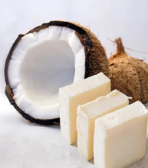 Shea & Coconut - Premium Fragrance Oil