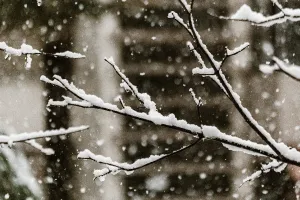 Snow Fall - Premium Fragrance Oil