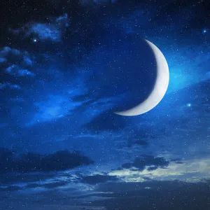 Sparkling Sapphire Night (Discontinued) - Premium Fragrance Oil