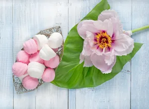 Sugared Peony - Premium Fragrance Oil