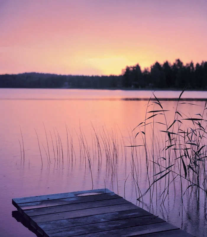 Summer Nights - Premium Fragrance Oil