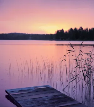 Summer Nights - Premium Fragrance Oil