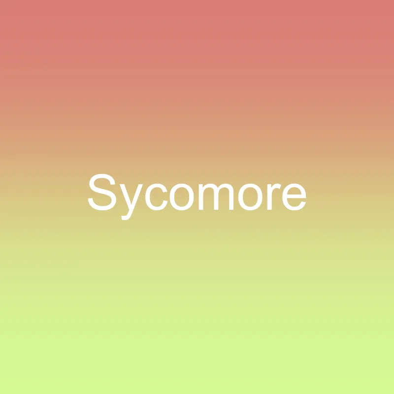 Sycomore