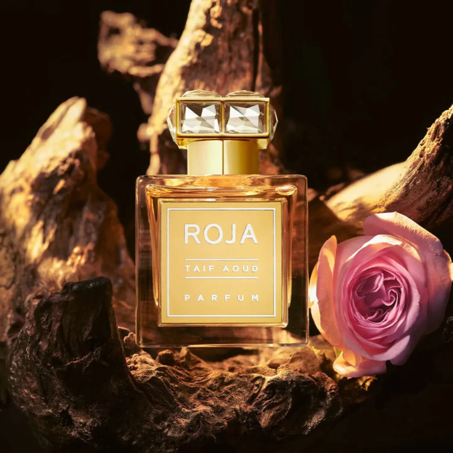 Taif Aoud