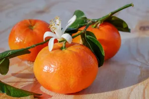 Tangerine Sunshine - Premium Fragrance Oil