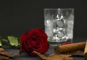 Teak & Tobacco - Premium Fragrance Oil