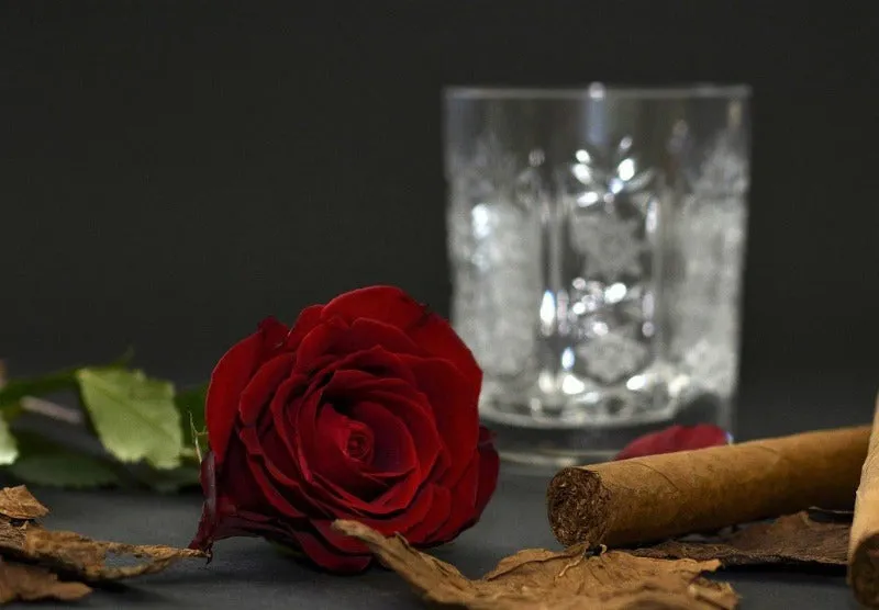 Teak & Tobacco - Premium Fragrance Oil