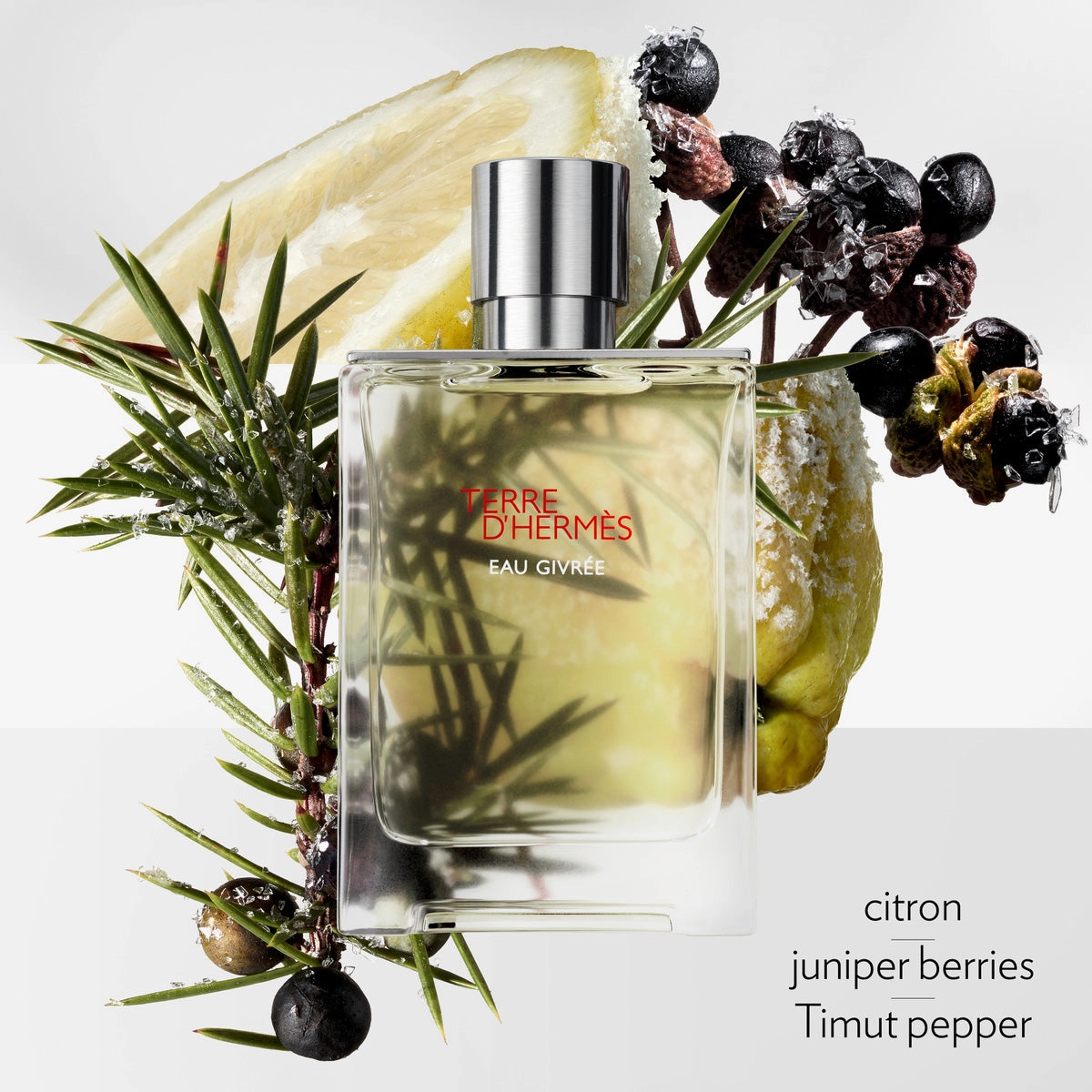 Terre d???Herm????s Eau Givr??|e, Eau de Parfum
