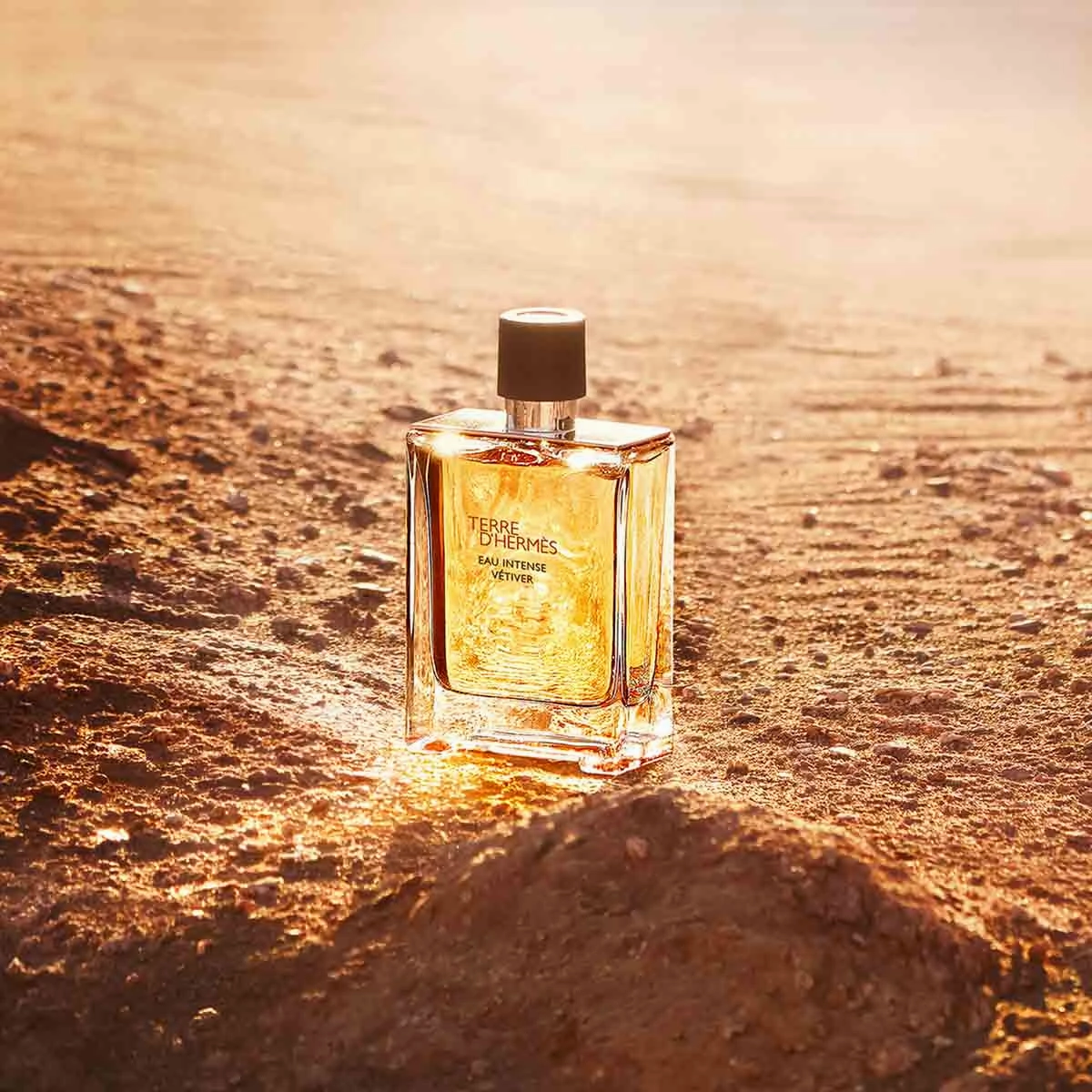 Terre d'Herm????s Eau Intense V??|tiver, Eau de parfum