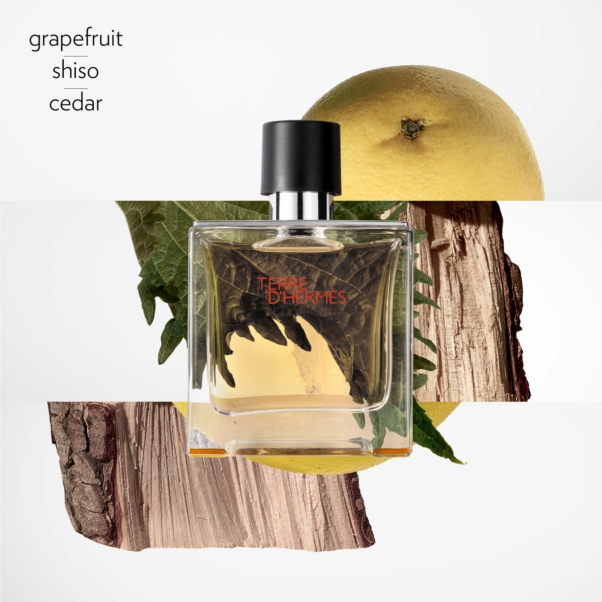 Terre d'Herm??s, Terre d??Herm??s Parfum