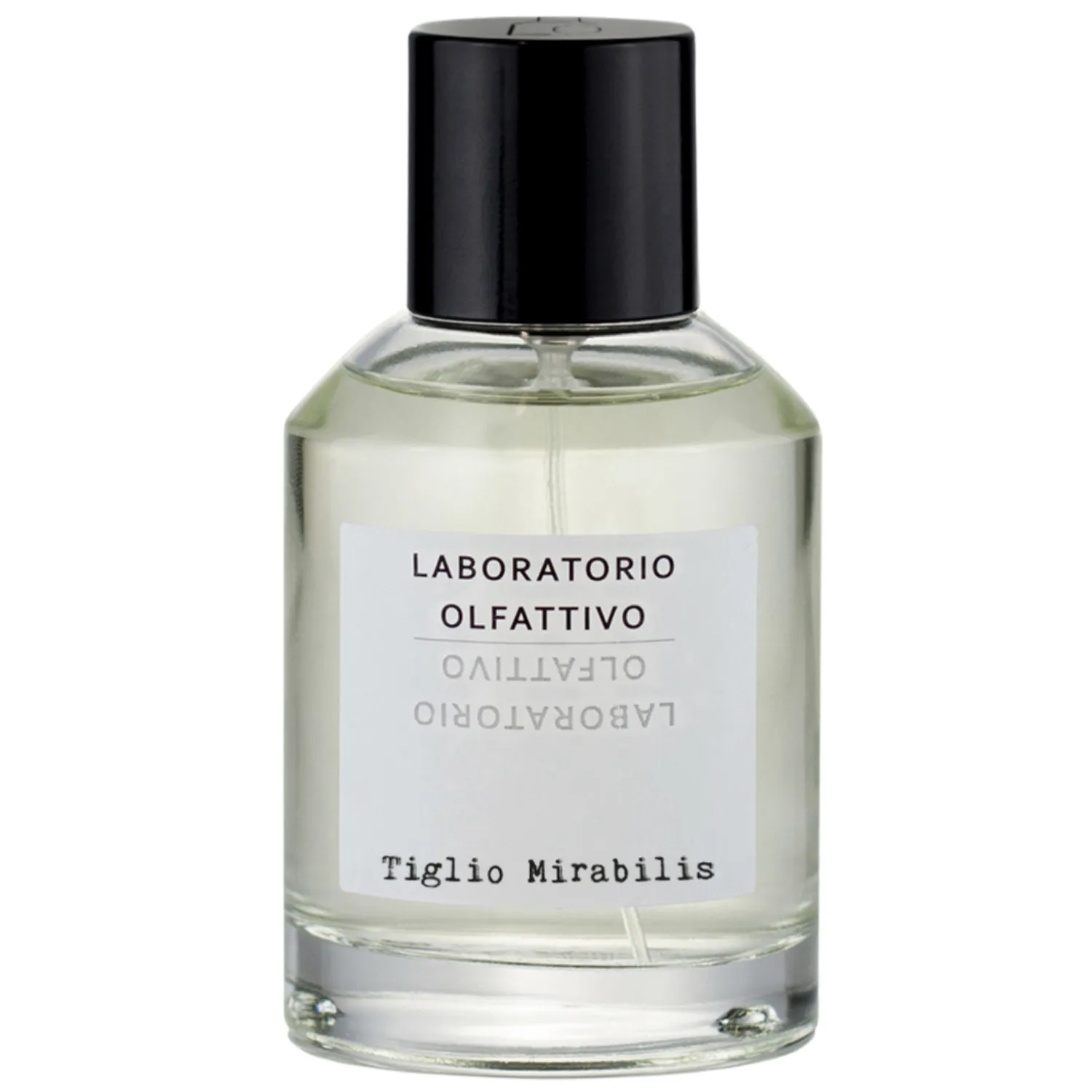 Tiglio Mirabilis