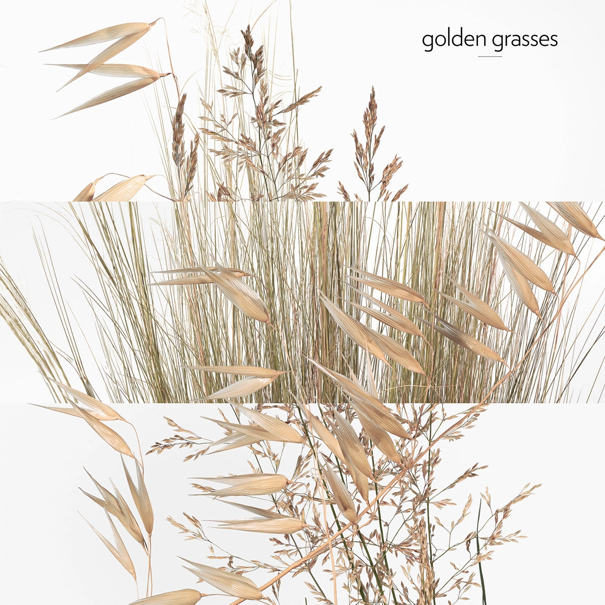 Un Jardin ???N Cyth????re, Eau de Toilette