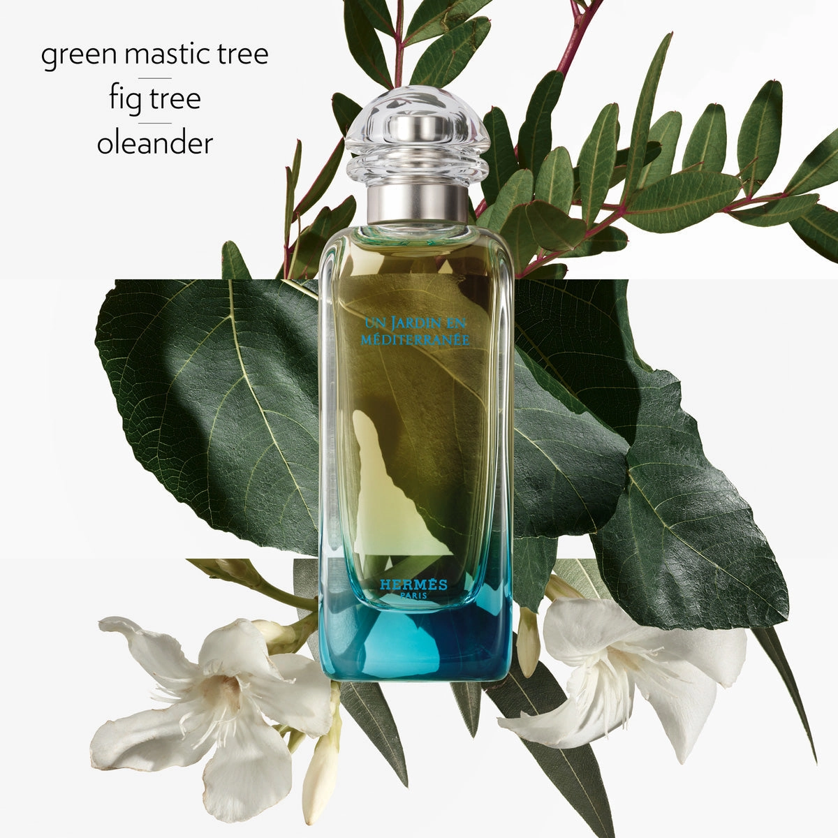Un Jardin en M??|diterran??|e, Eau de Toilette
