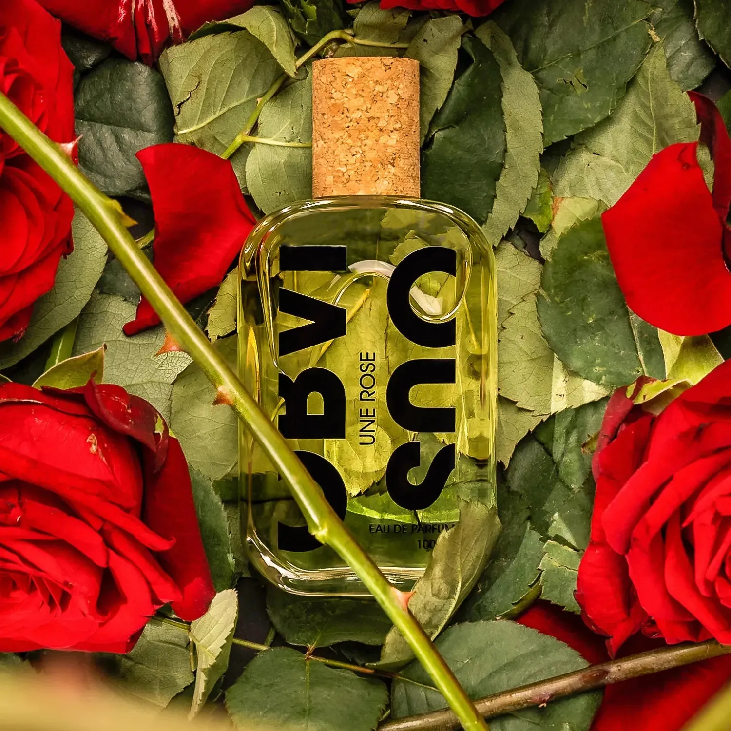 Une Rose