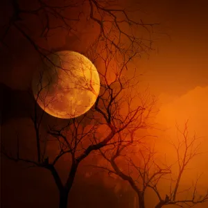 Vampire Blood (BBW type) - Premium Fragrance Oil