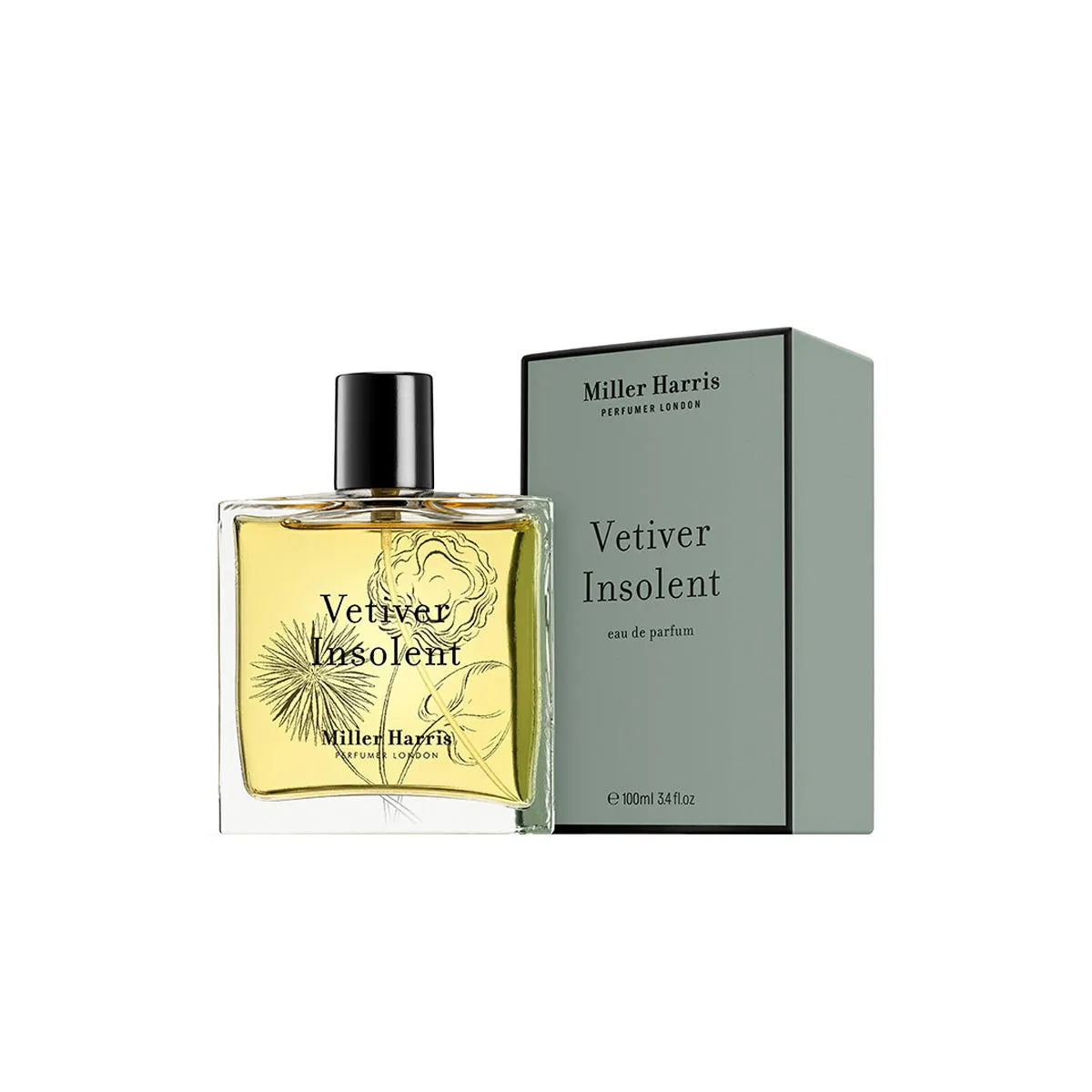 Vetiver Insolent