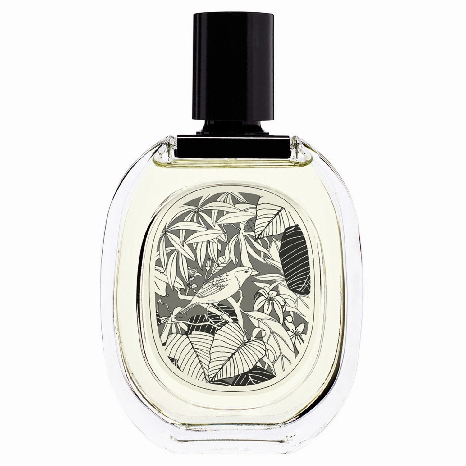 Vetyverio Eau de Toilette