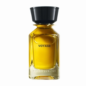 Voyage
