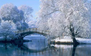 Winter Morning  - Premium Fragrance Oil