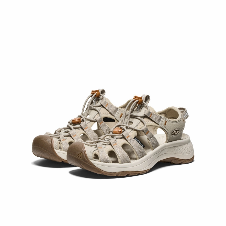 Women's Astoria West Sandal  |  Plaza Taupe/Roasted Pecan Light Steps