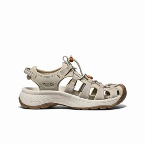 Women's Astoria West Sandal  |  Plaza Taupe/Roasted Pecan Fashionable Step Non-Slip Sole